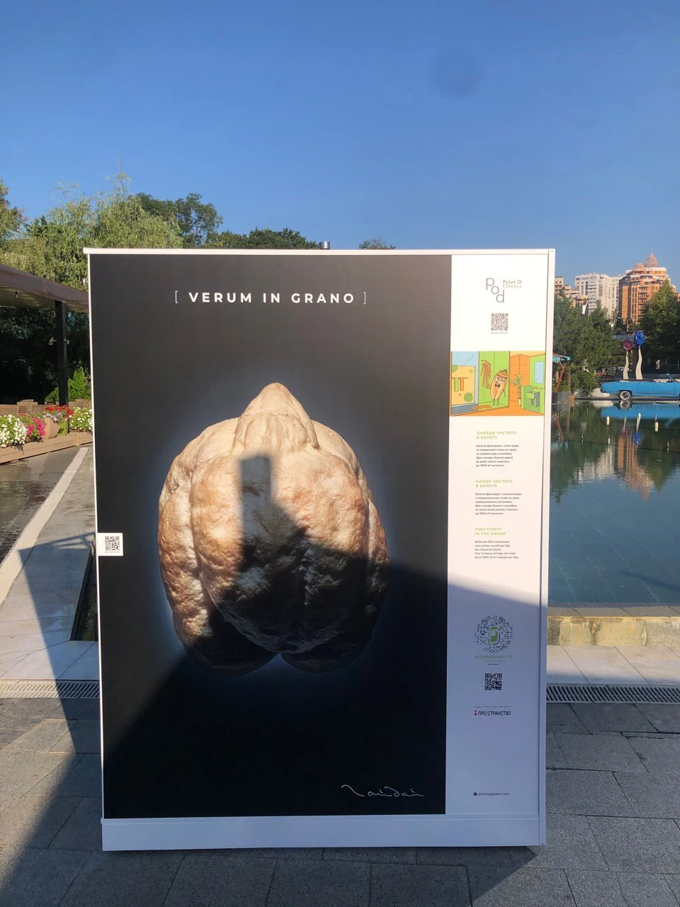 VERUM IN GRANO exhibition stand on Arkadiiska alley, 2 September 2020. Exhibited photograph: Igor Gaidai; installation image from the programme archive.