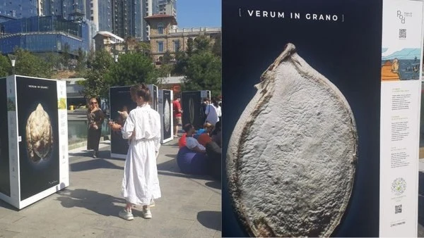 Opening of the outdoor VERUM IN GRANO exhibition, 2 September 2020. Programme archive photographs.