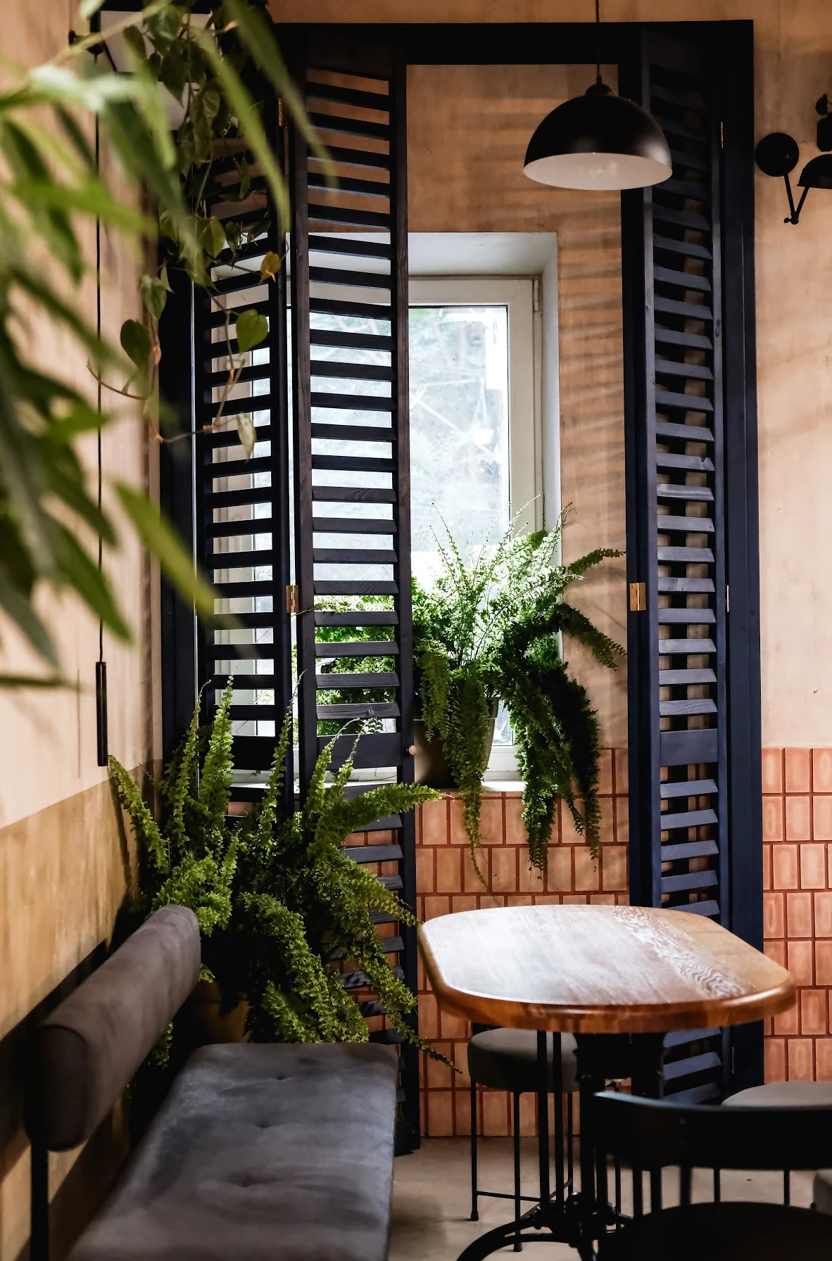 CuppyBar: a window-side table framed by plants and dark shutters. Completed-interior photograph.