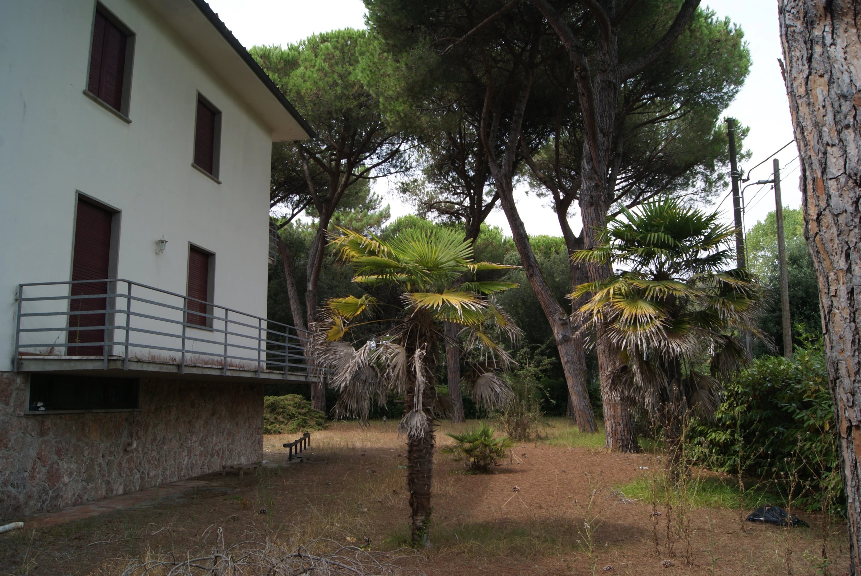 The existing villa and garden before reconstruction, August 2023.
