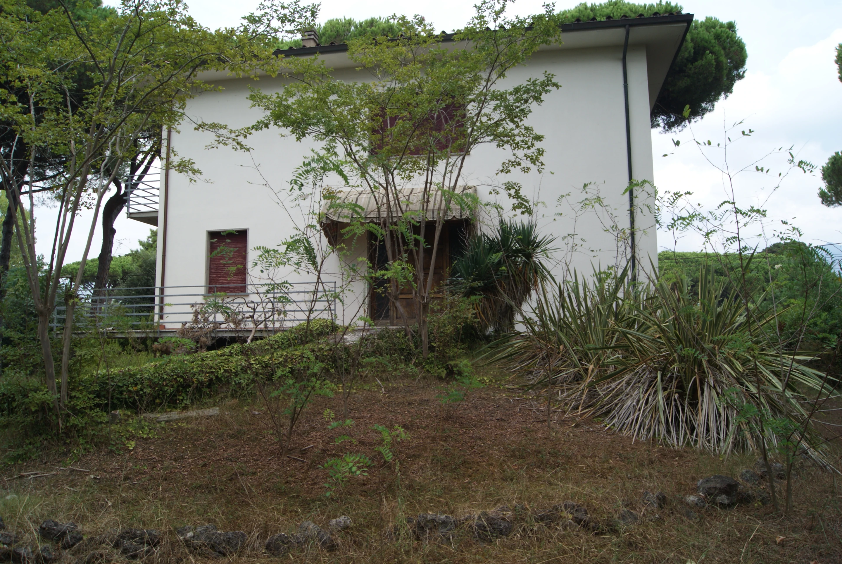 Existing façade and mature planting, August 2023.